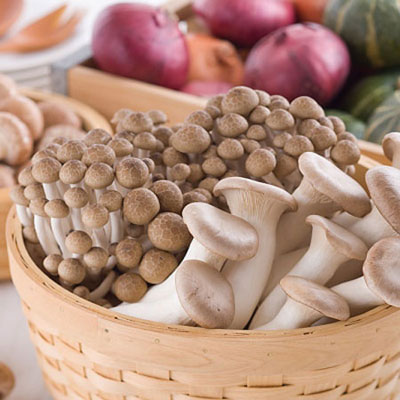 Tác dụng giảm cân tuyệt vời của nấm